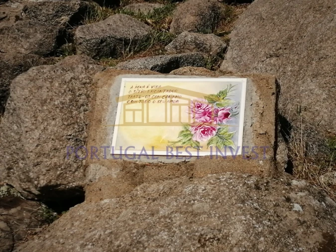 Terreno Misto para Venda em Monchique Foto 11