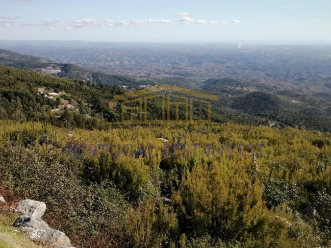 Terreno Misto para Venda em Monchique Foto 18
