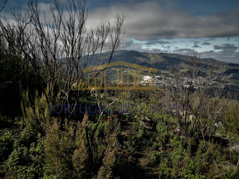 Terreno Misto para Venda em Monchique Foto 19