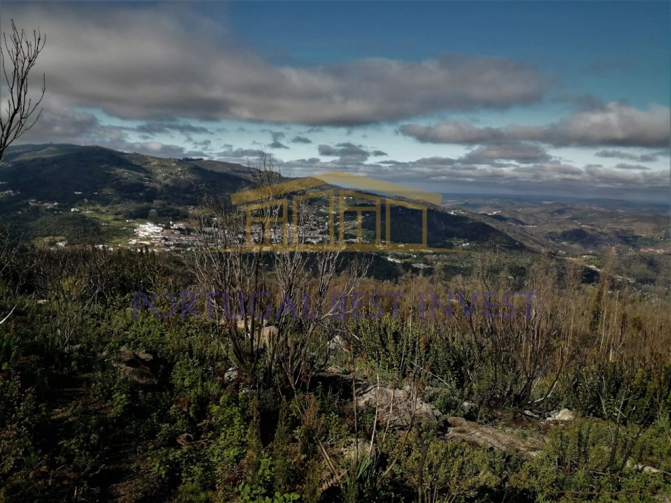 Terreno Misto para Venda em Monchique Foto 23