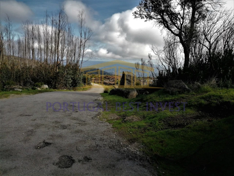 Terreno Misto para Venda em Monchique Foto 2