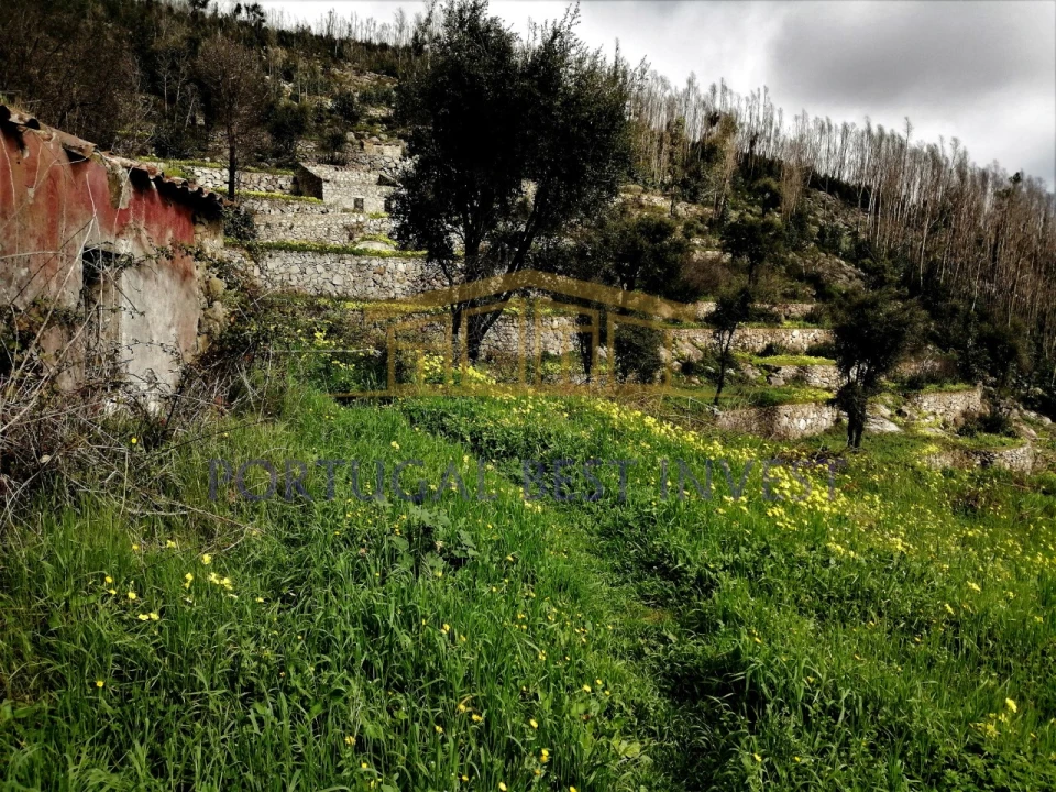 Terreno Misto para Venda em Monchique Foto 6