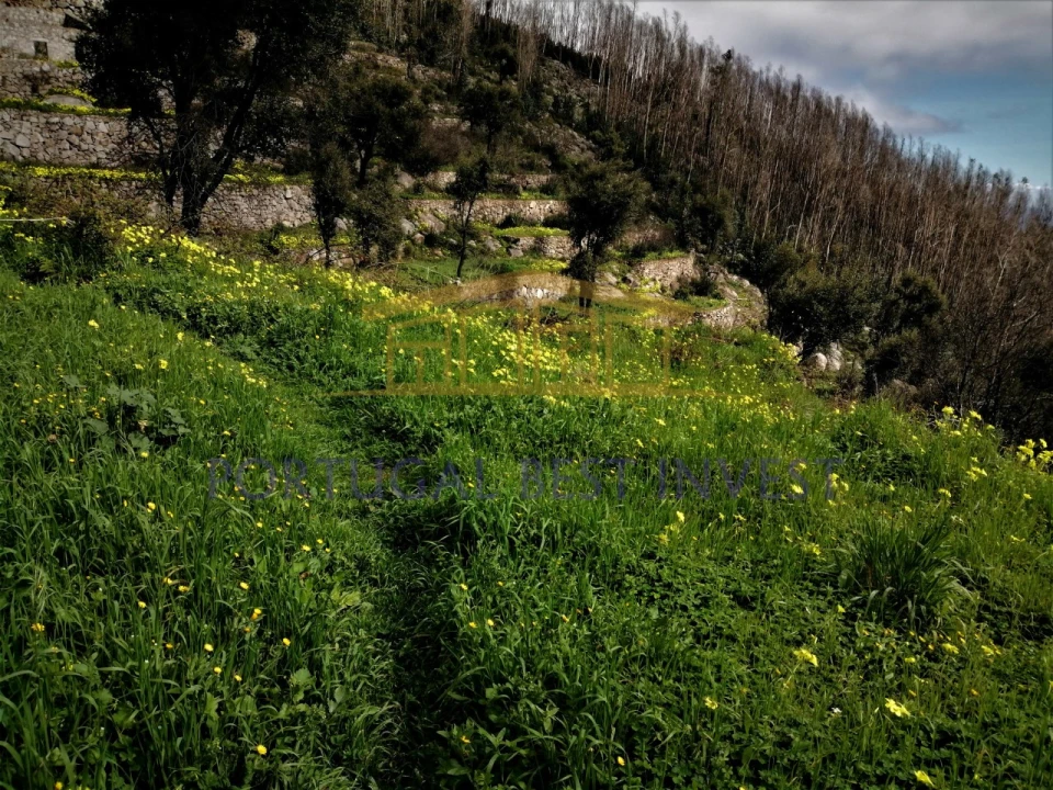 Terreno Misto para Venda em Monchique Foto 13