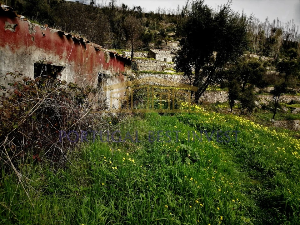 Terreno Misto para Venda em Monchique Foto 16