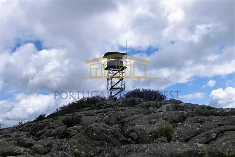 Terreno Misto para Venda em Monchique Foto 3