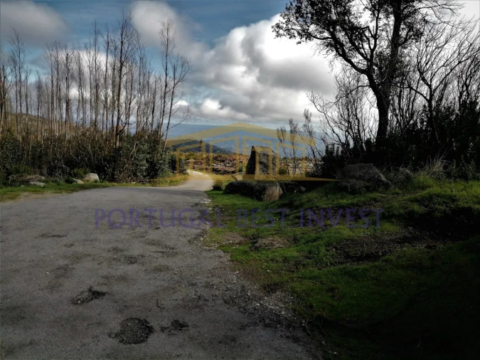 Terreno Misto para Venda em Monchique Foto 2