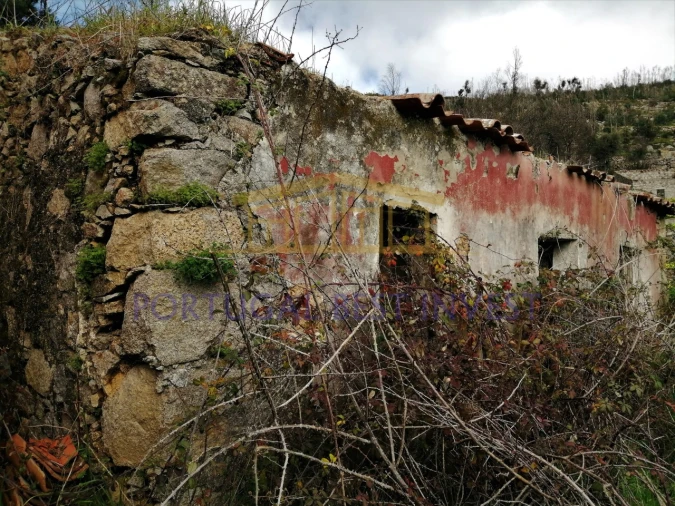 Terreno Misto para Venda em Monchique Foto 21