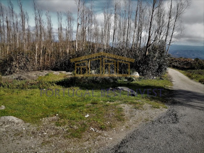 Terreno Misto para Venda em Monchique Foto 26