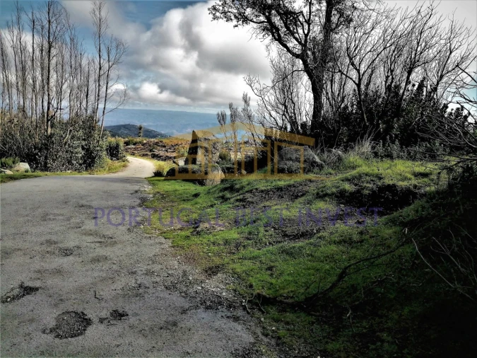 Terreno Misto para Venda em Monchique Foto 8