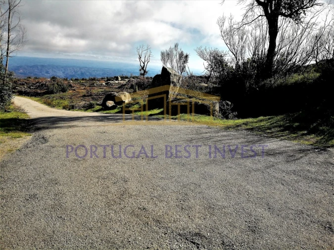 Terreno Misto para Venda em Monchique Foto 15