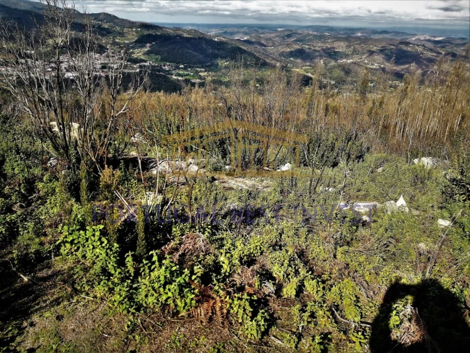 Terreno Misto para Venda em Monchique Foto 17