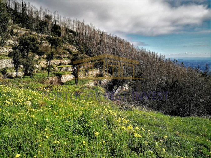 Terreno Misto para Venda em Monchique Foto 7