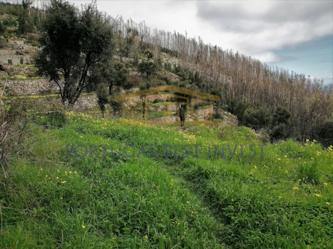 Terreno Misto para Venda em Monchique Foto 20