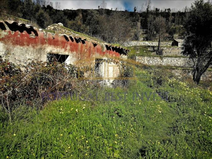 Terreno Misto para Venda em Monchique Foto 5