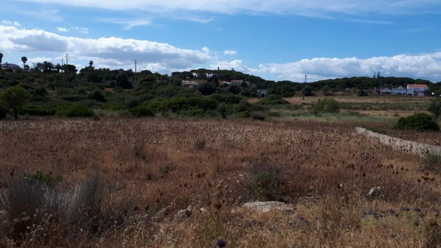 Terreno para Venda em Porches Foto 4