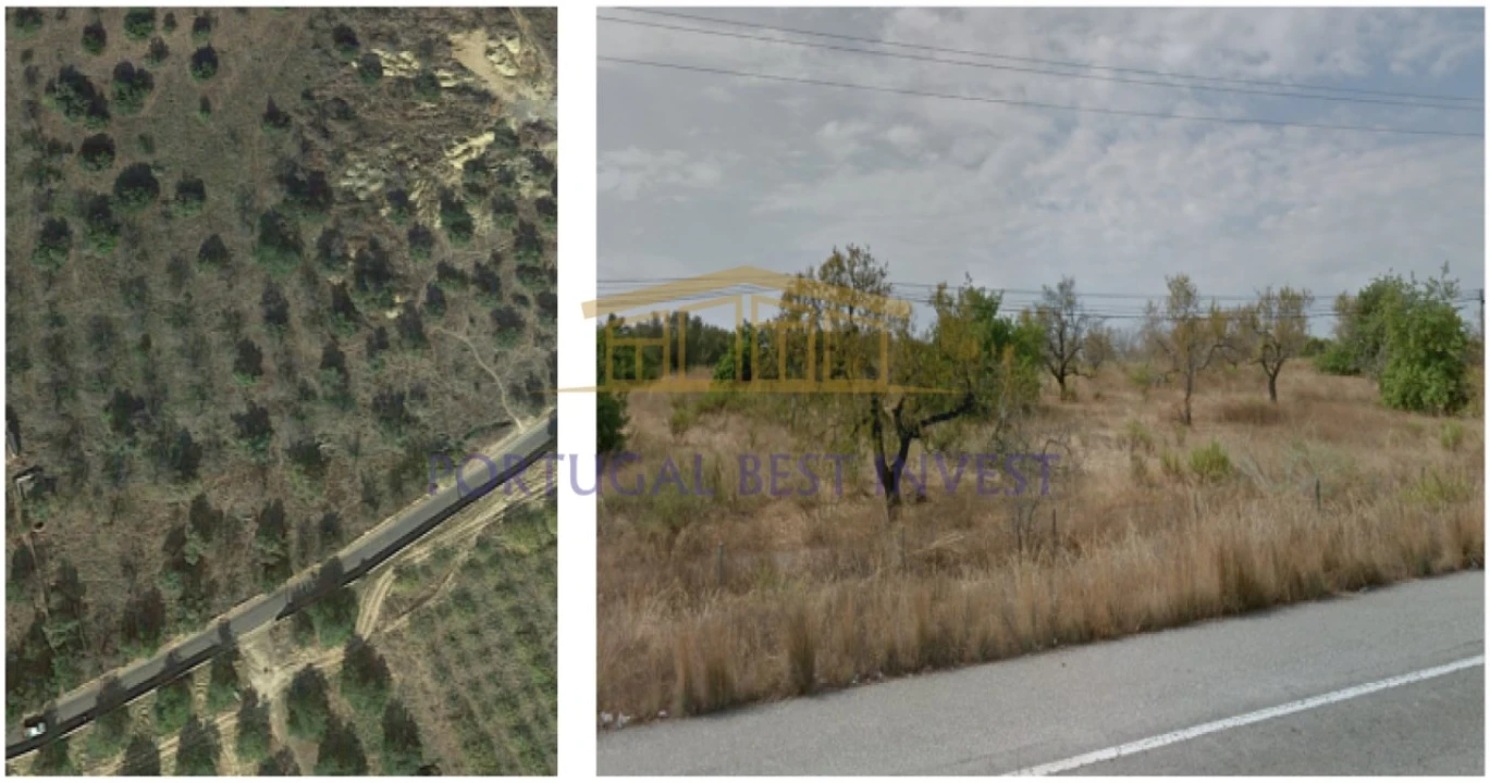 Terreno para Venda em Tavira (Santa Maria e Santiago) Foto 5