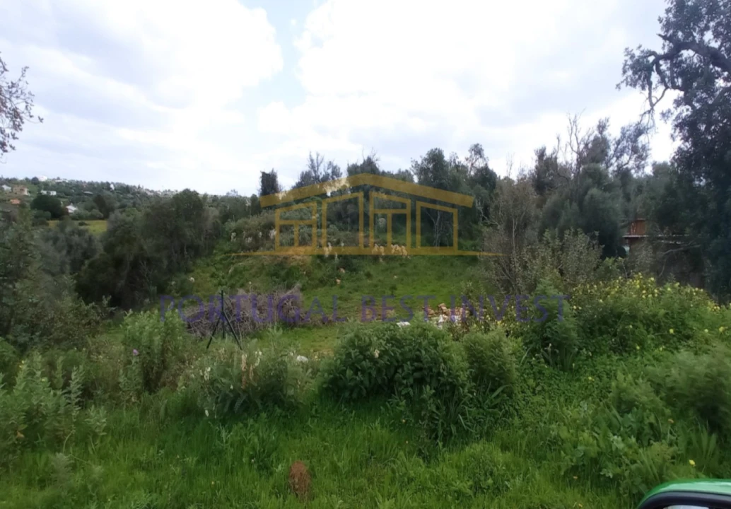 Terreno Misto para Venda em Guia Foto 3