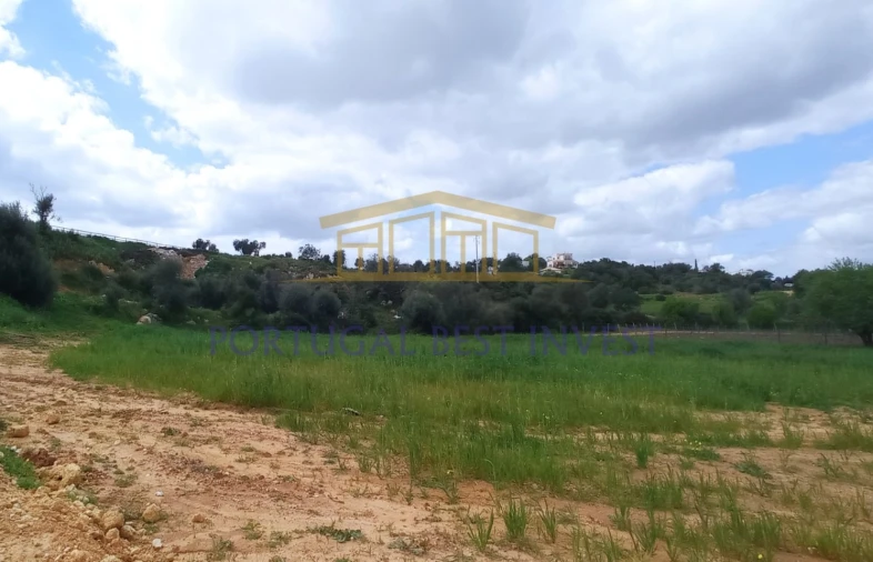 Terreno Misto para Venda em Guia Foto 2