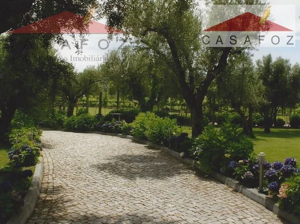 Quinta T6 para Venda em Cardielos e Serreleis Foto 20