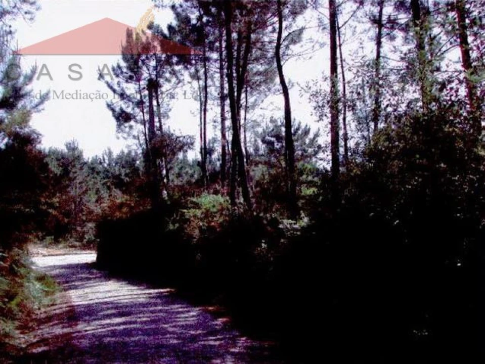 Terreno para Venda em Venade e Azevedo Foto 3