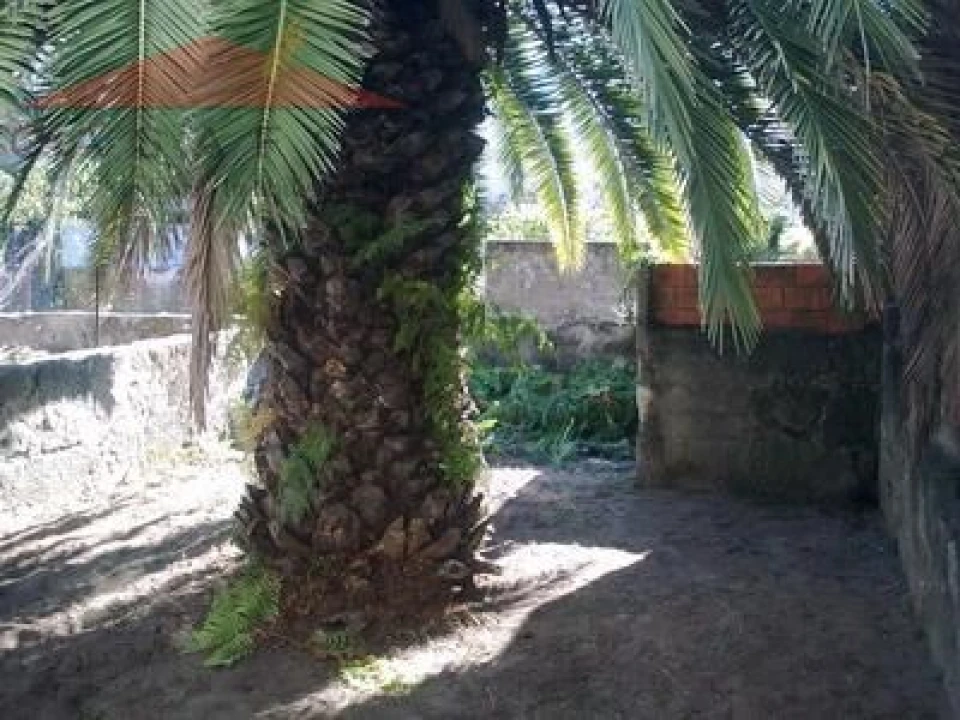 Loja para Venda em Cedofeita, Santo Ildefonso, Sé, Miragaia, São Nicolau e Vitória Foto 3