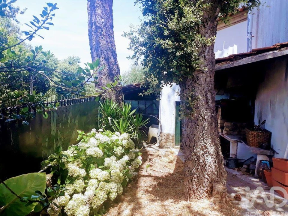 Moradia T8 para Venda em Seixas Foto 25