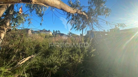 Terreno para Venda em Rio Maior