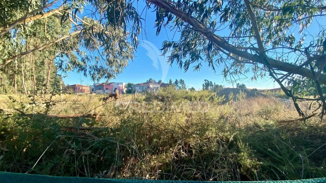 Terreno para Venda em Rio Maior Foto 1