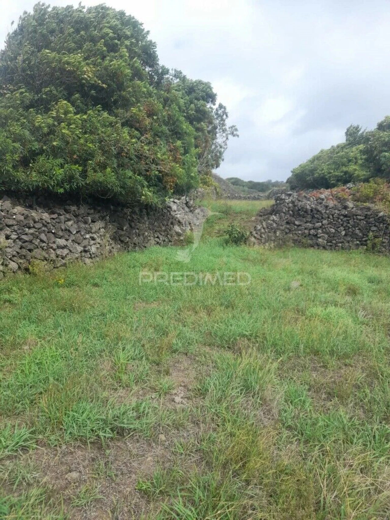 Terreno para Venda em São Bartolomeu de Regatos Foto 14