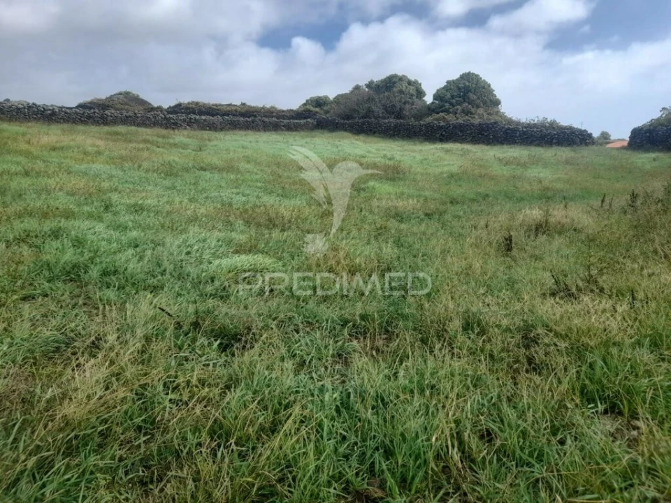 Terreno para Venda em São Bartolomeu de Regatos Foto 12