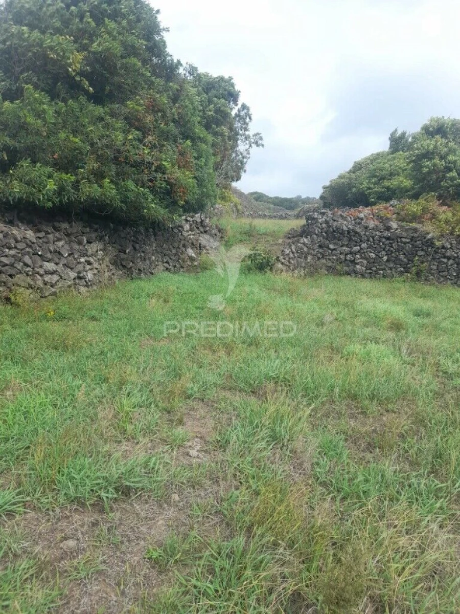 Terreno para Venda em São Bartolomeu de Regatos Foto 3