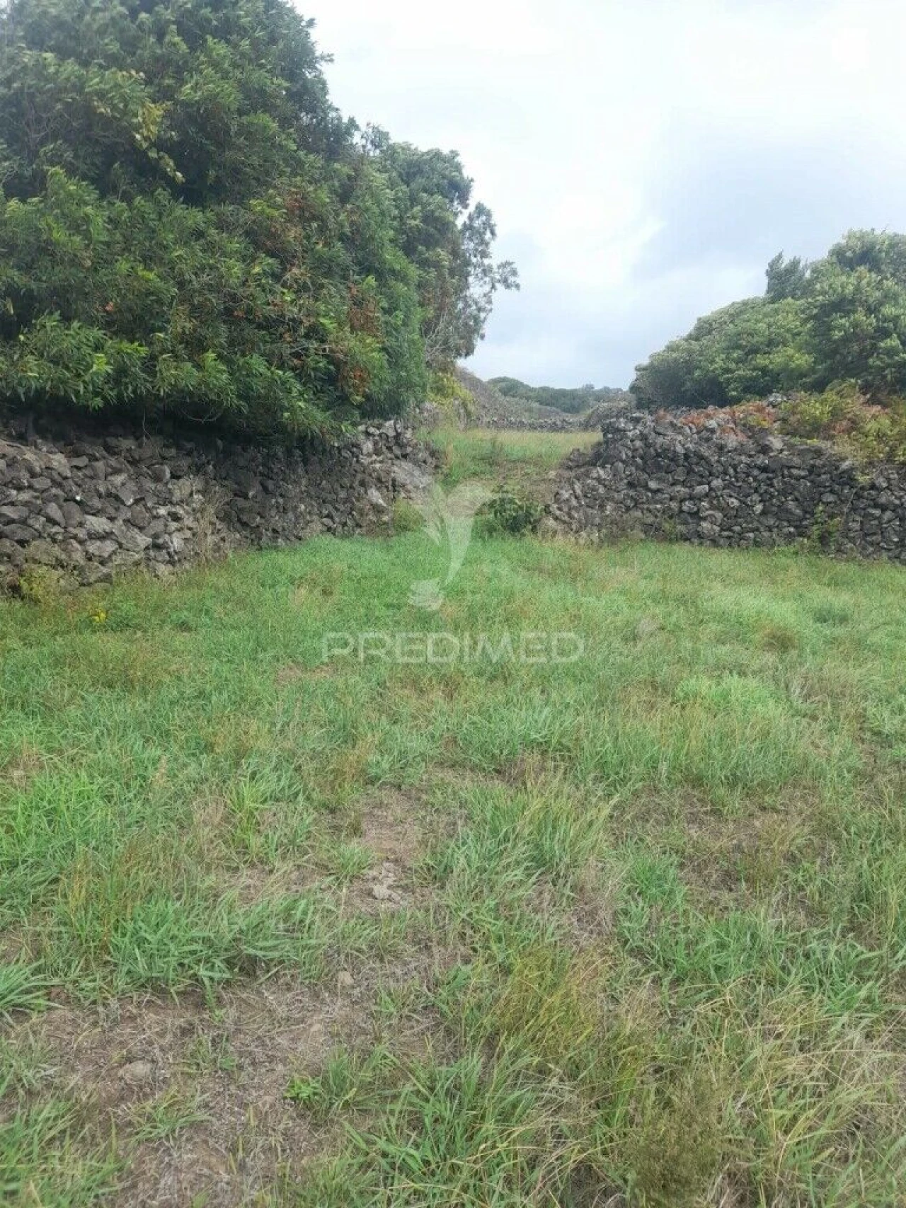 Terreno para Venda em São Bartolomeu de Regatos Foto 3