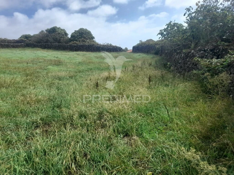 Terreno para Venda em São Bartolomeu de Regatos Foto 11
