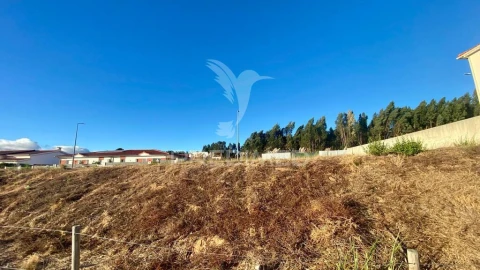 Terreno para Venda em Rio Maior