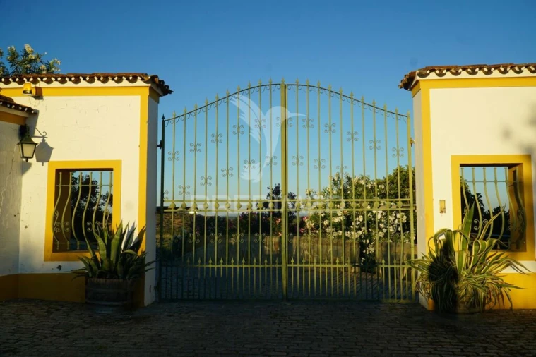 Quinta T5 para Venda em Redondo