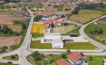 Terreno para Venda em Valega