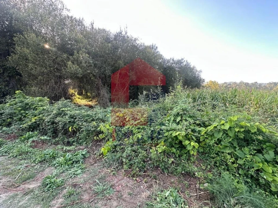 Terreno para Venda em Turiz Foto 6