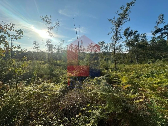 Terreno para Venda em Turiz Foto 19