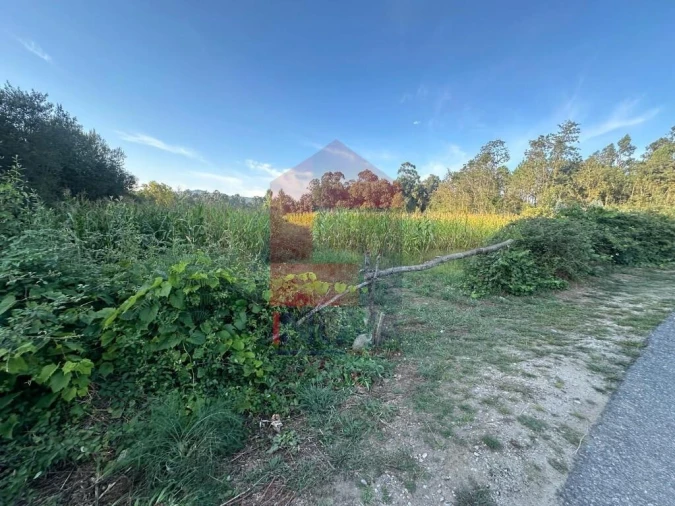 Terreno para Venda em Turiz Foto 8