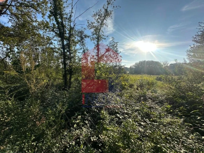 Terreno para Venda em Turiz Foto 16