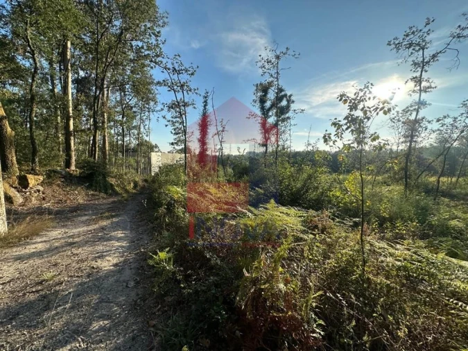 Terreno para Venda em Turiz Foto 12