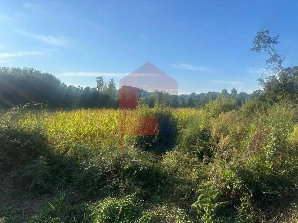 Terreno para Venda em Turiz Foto 7