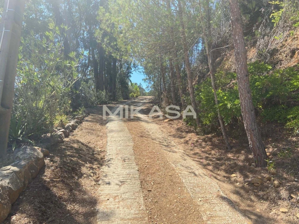 Moradia T3 para Venda em Odeceixe Foto 37