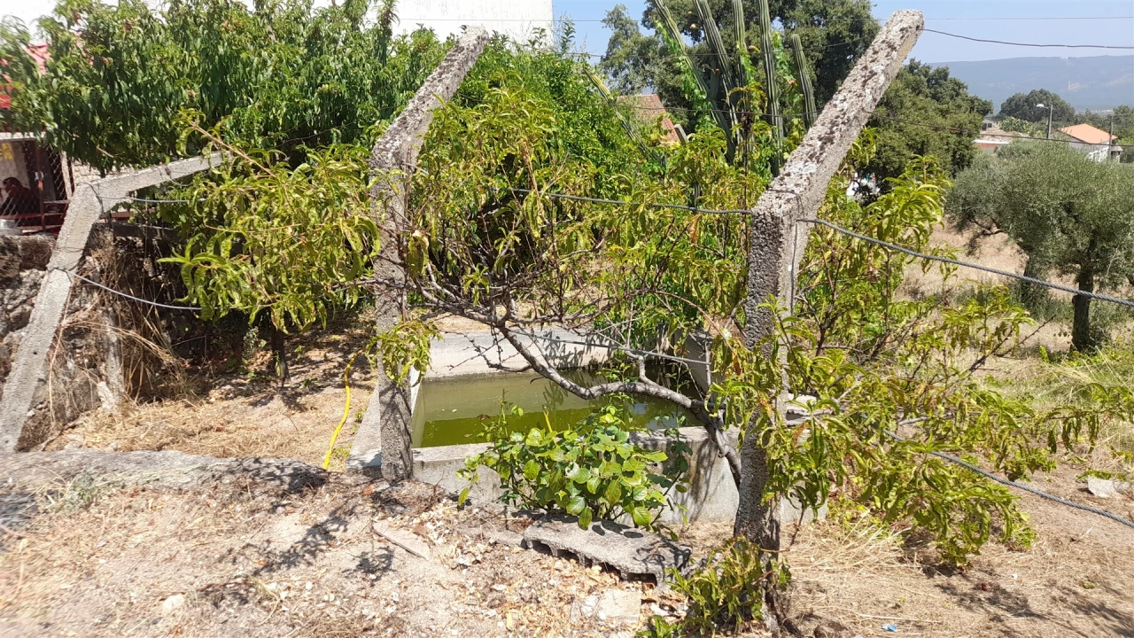 Moradia T4 para Venda em Monsanto e Idanha-A-Velha Foto 29