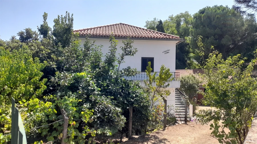 Moradia T4 para Venda em Monsanto e Idanha-A-Velha Foto 1