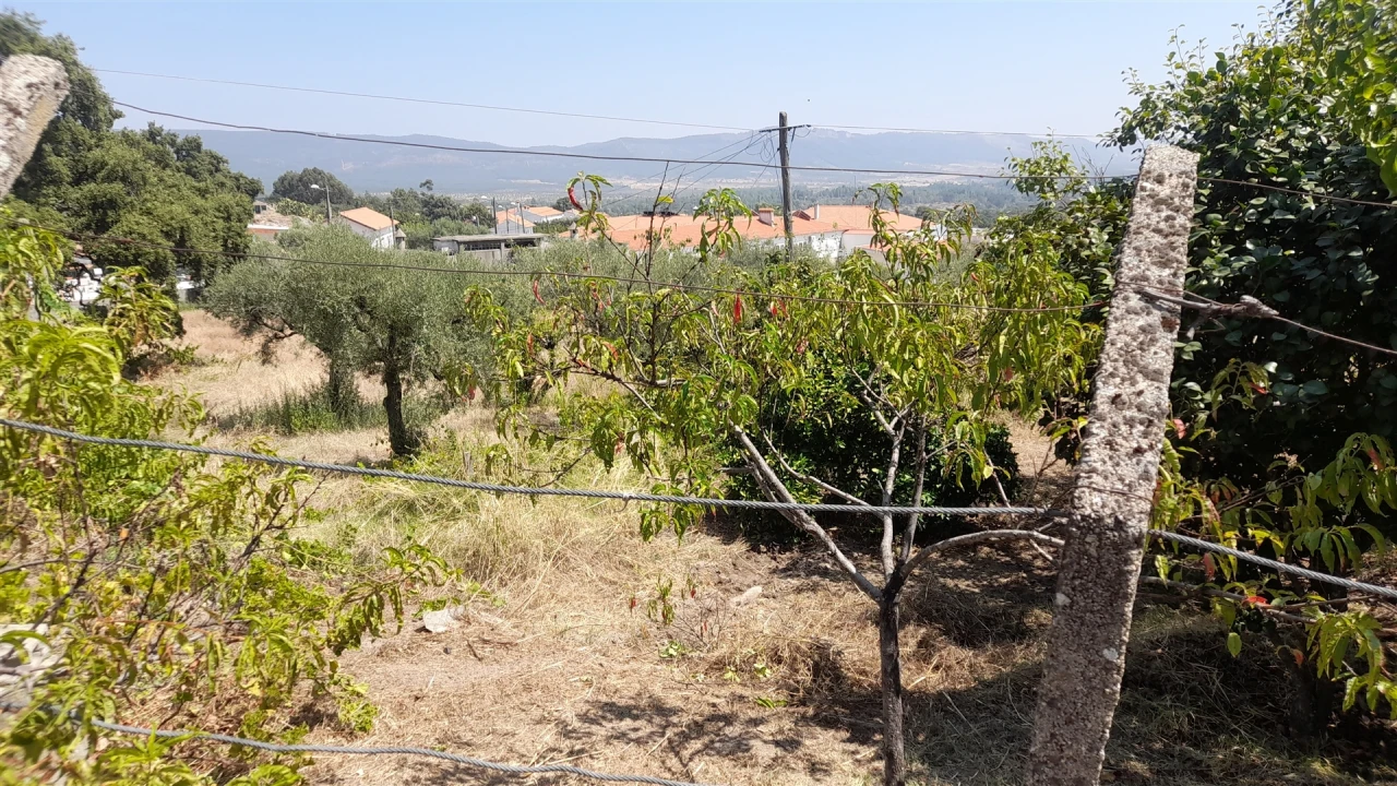 Moradia T4 para Venda em Monsanto e Idanha-A-Velha Foto 25