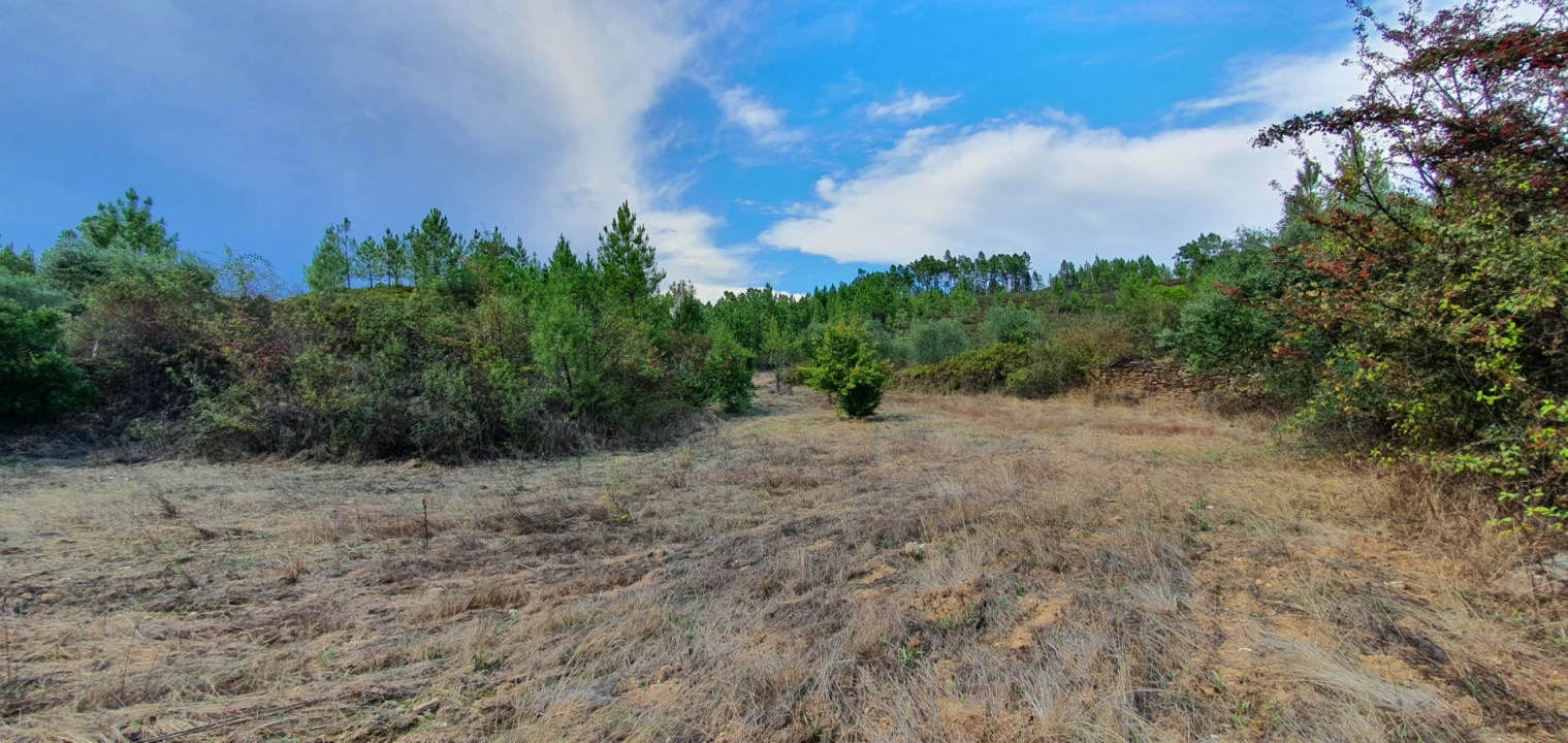 Quinta T0 para Venda em Santo Andre das Tojeiras Foto 1