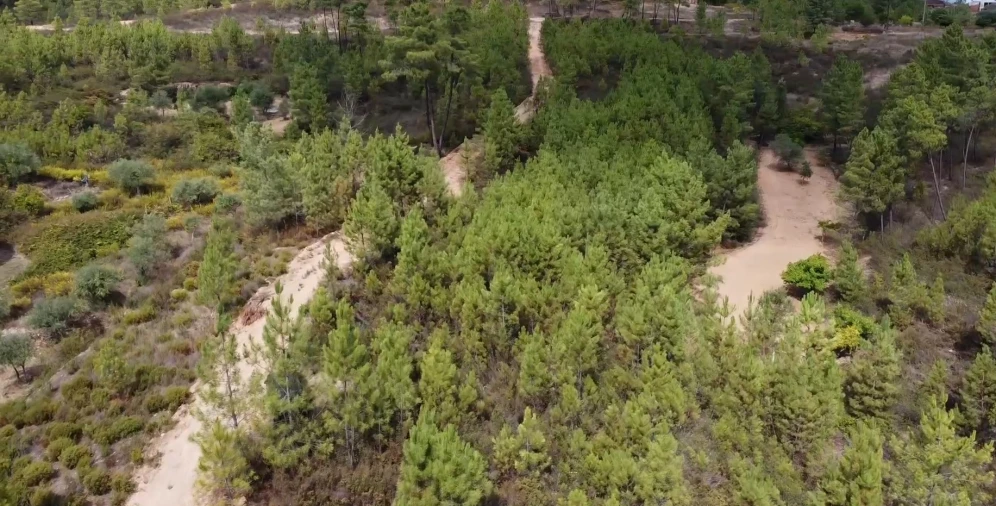 Quinta T0 para Venda em Santo Andre das Tojeiras Foto 14