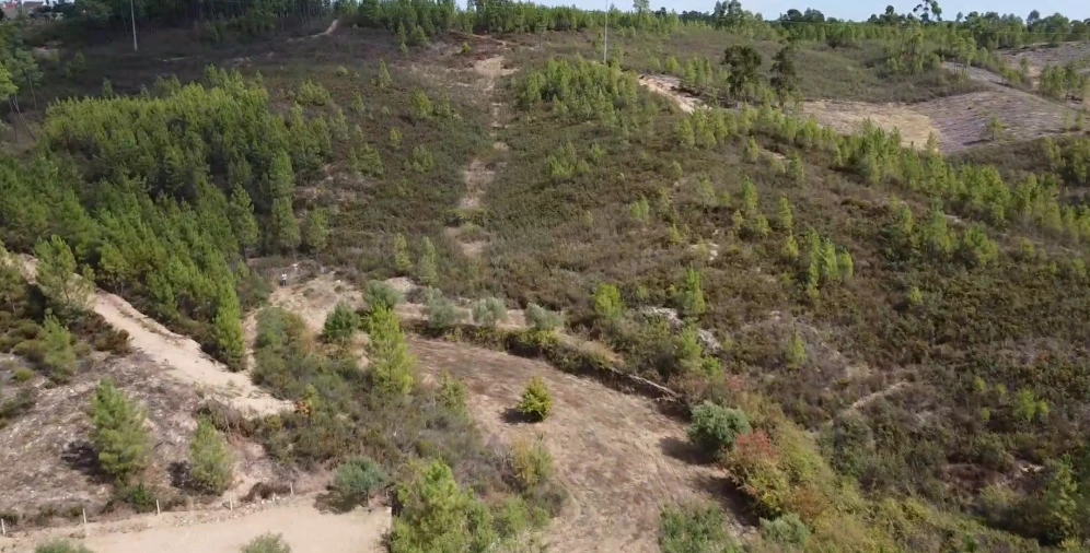 Quinta T0 para Venda em Santo Andre das Tojeiras Foto 13