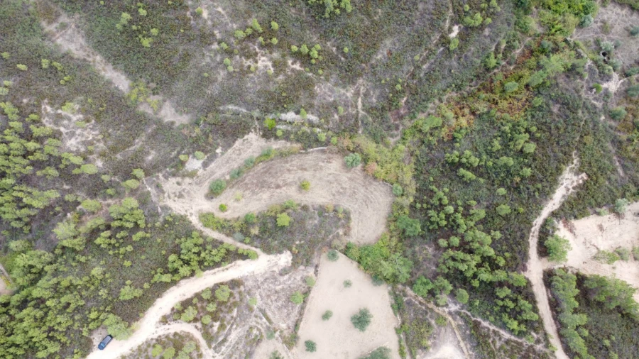 Quinta T0 para Venda em Santo Andre das Tojeiras Foto 5